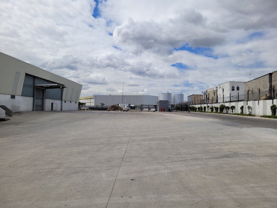 To Let commercial Property for Rent in Montague Gardens Western Cape